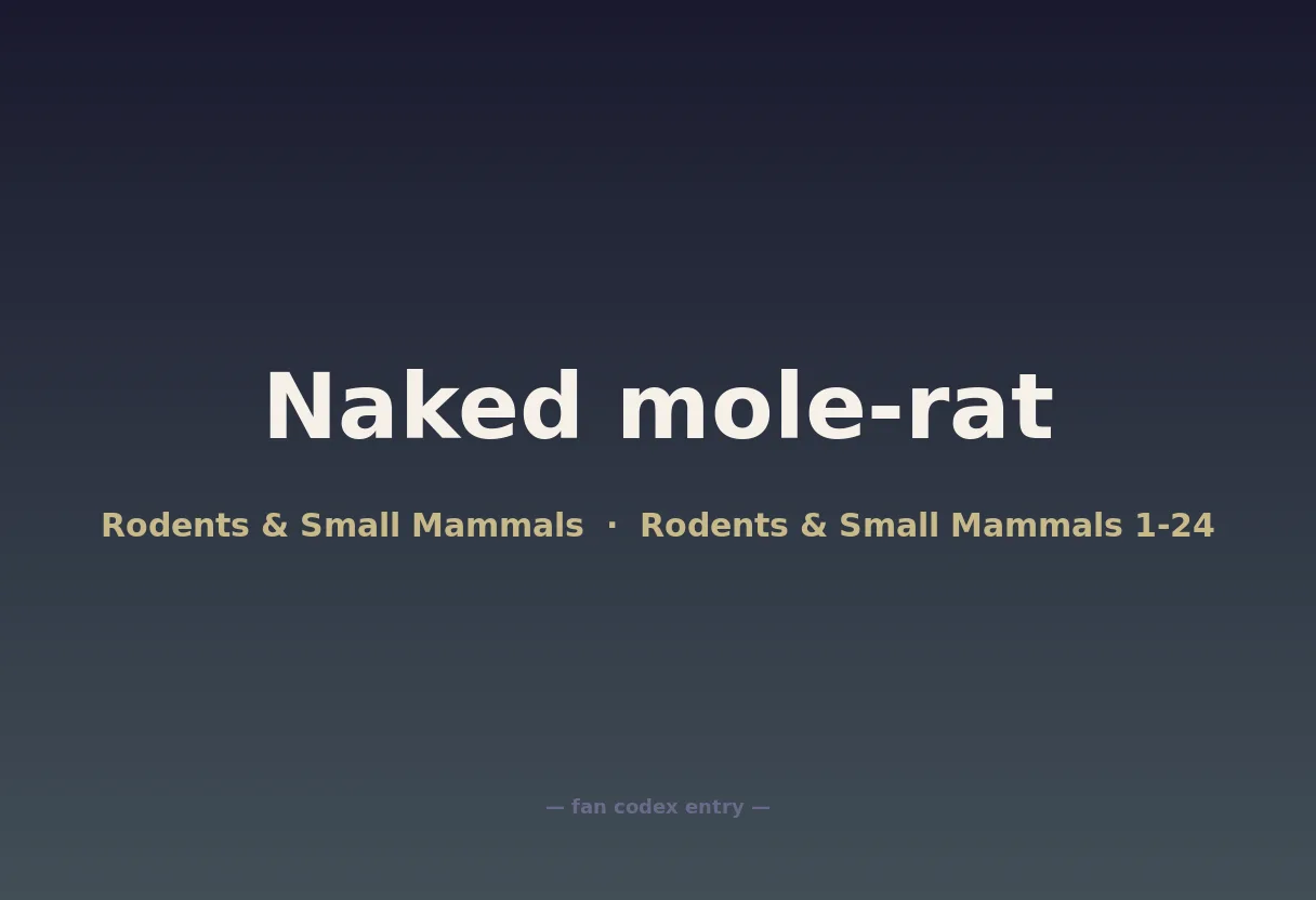 Naked mole-rat