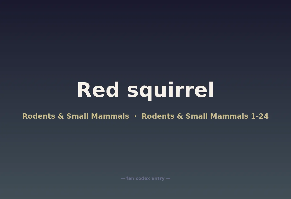 Red squirrel