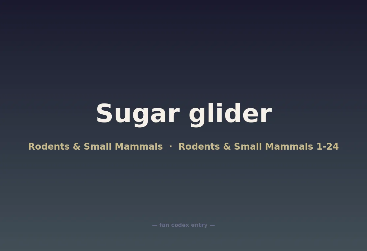 Sugar glider