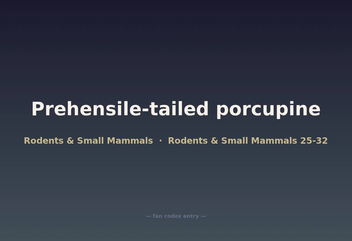 Prehensile-tailed porcupine